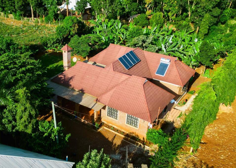 Day 1 activity image