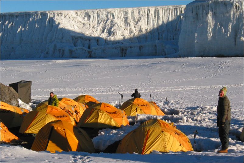 Day 7 activity image