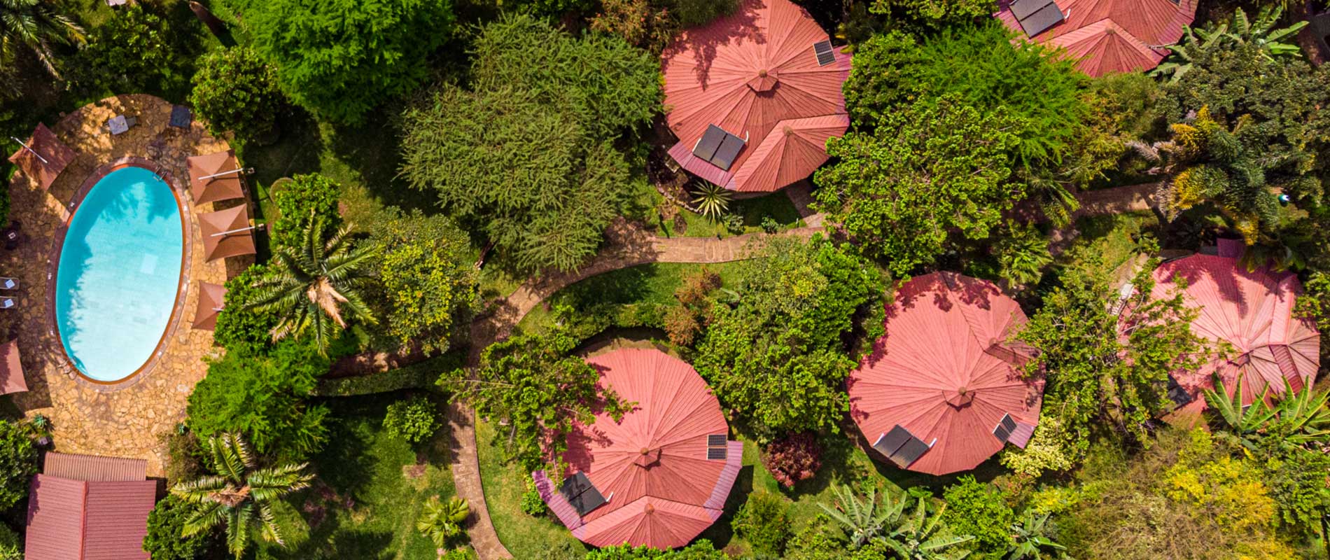 Day 1 activity image