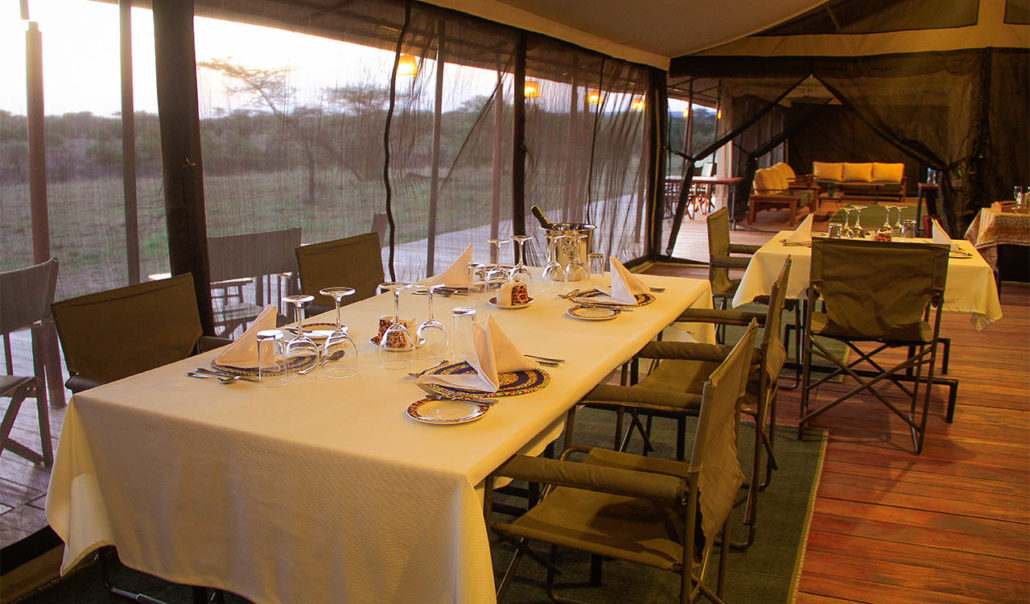 Day 8 activity image