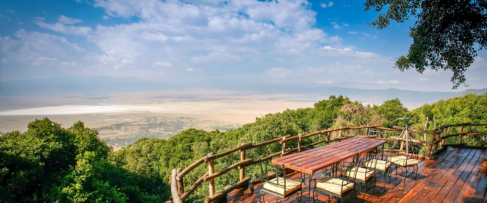 Day 4 activity image