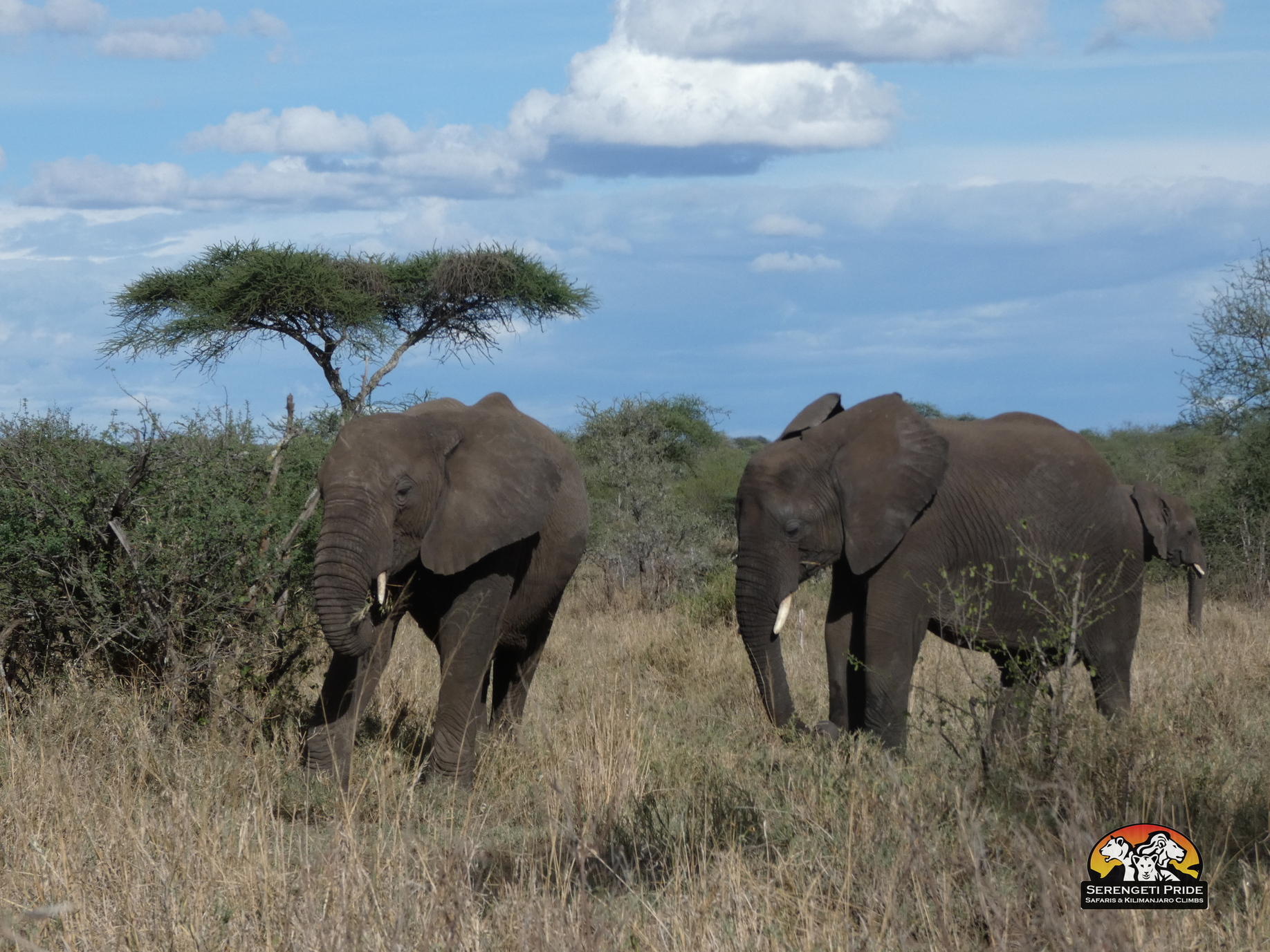 Day 3 activity image