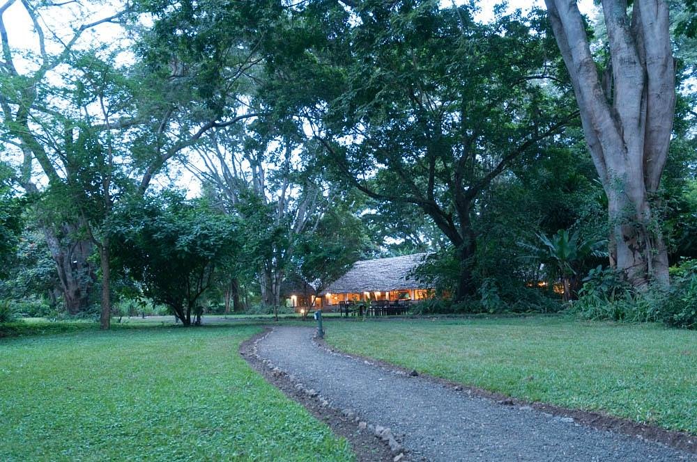 Day 1 activity image