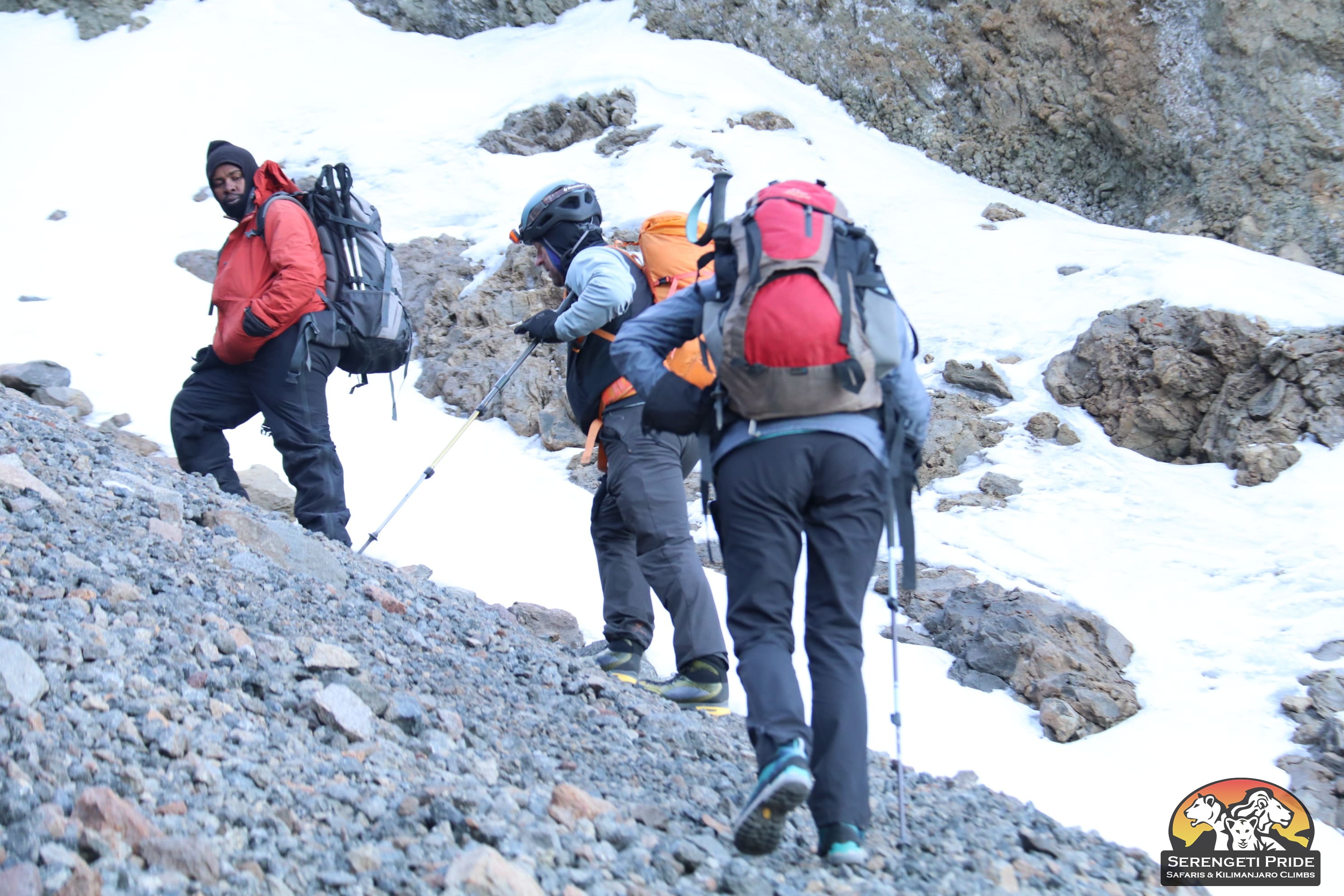 Day 6 activity image