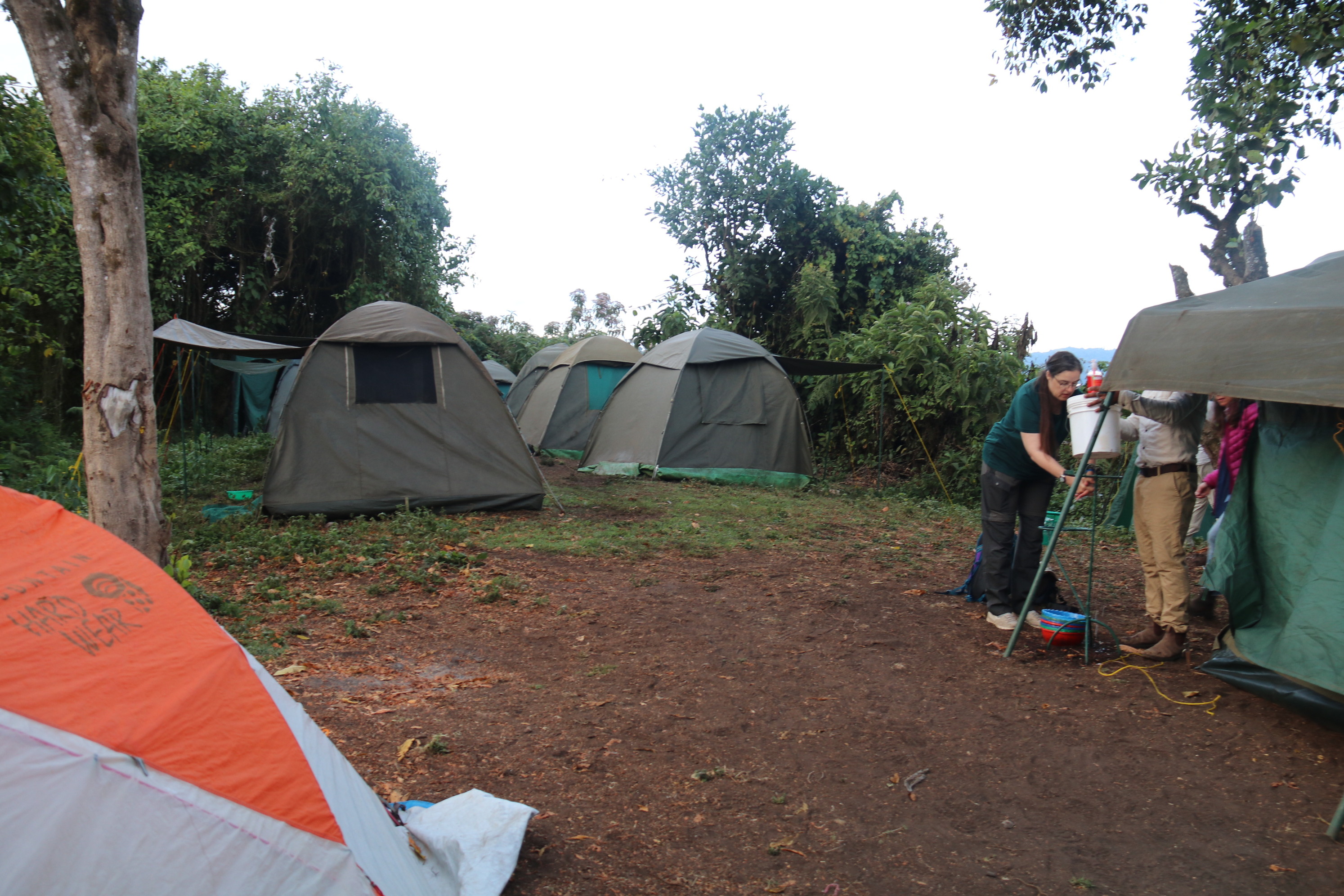 Day 7 activity image