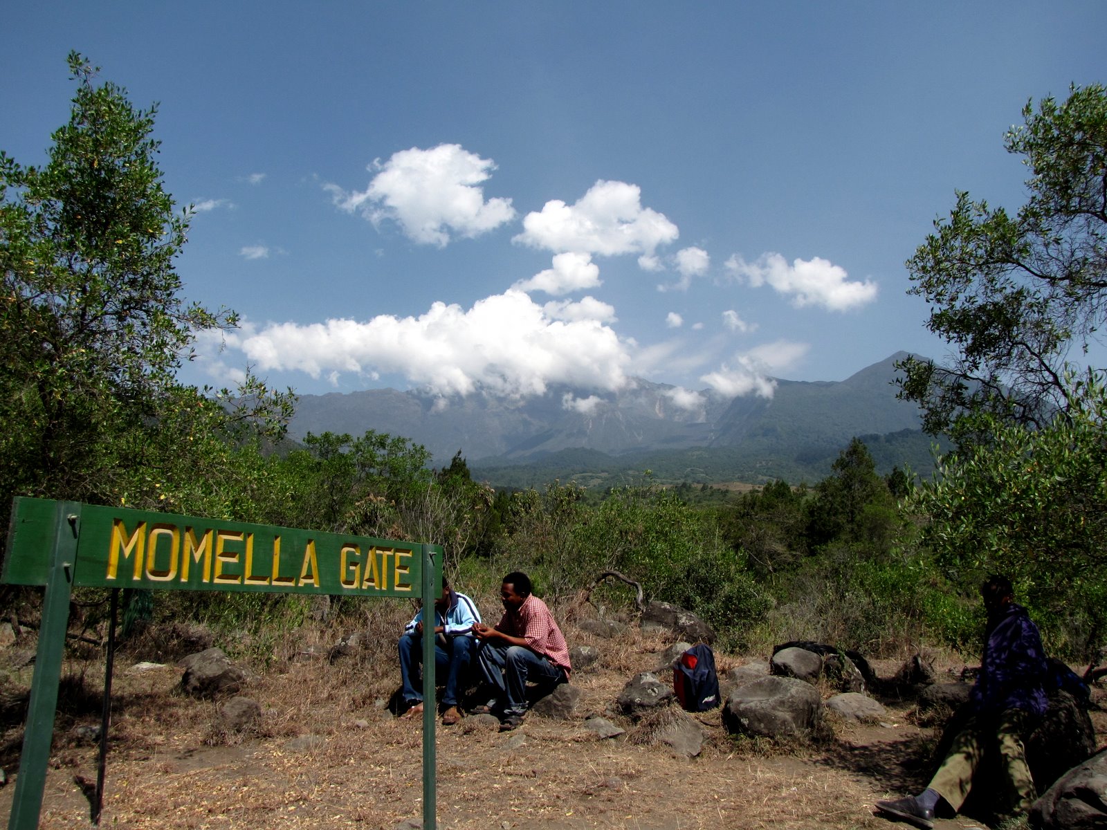 Day 3 activity image