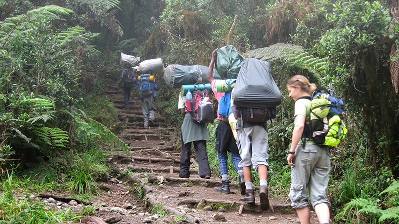 Day 1 activity image