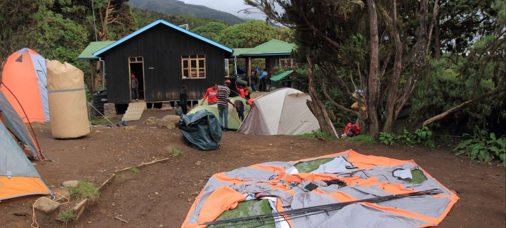 Day 7 activity image