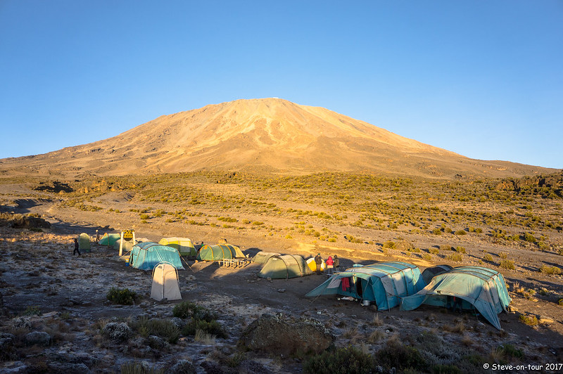 Day 5 activity image