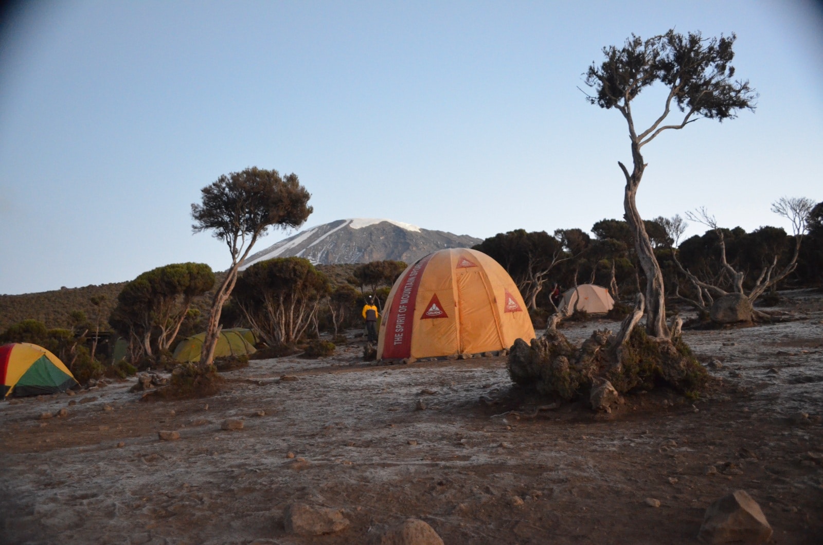 Day 8 activity image