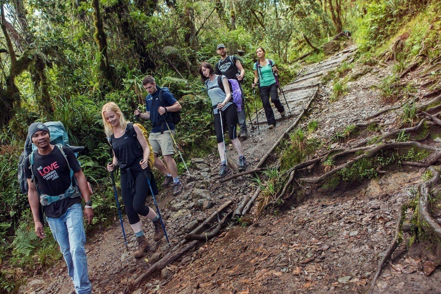 Day 1 activity image