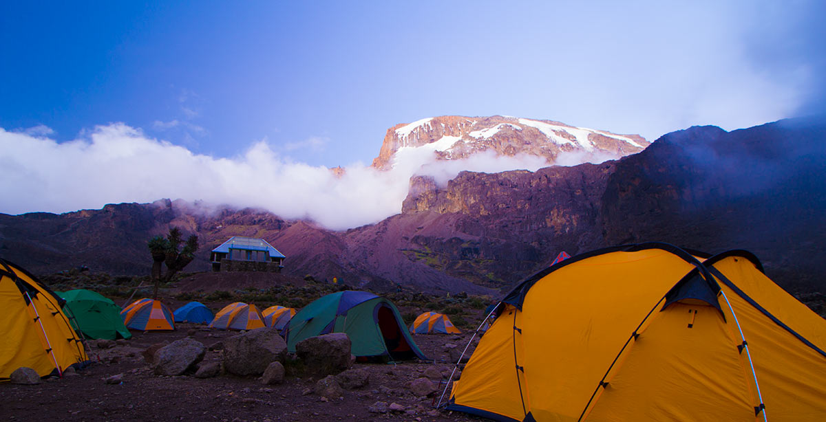 Day 1 activity image