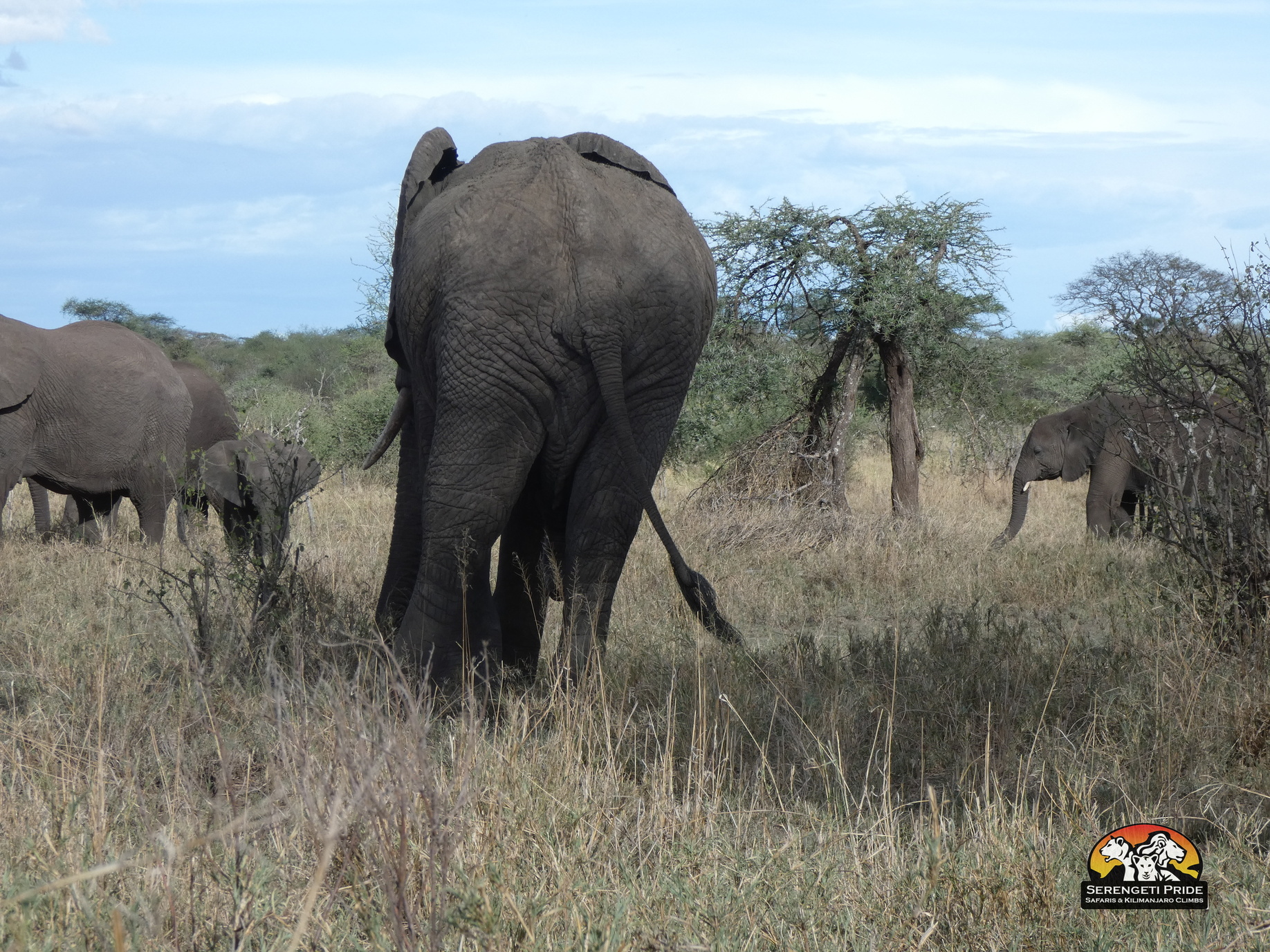 Day 1 activity image