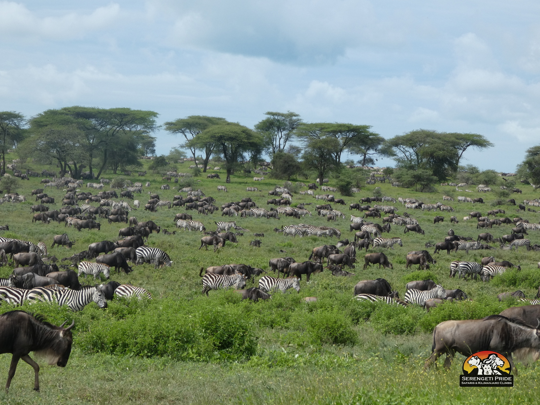 Day 3 activity image