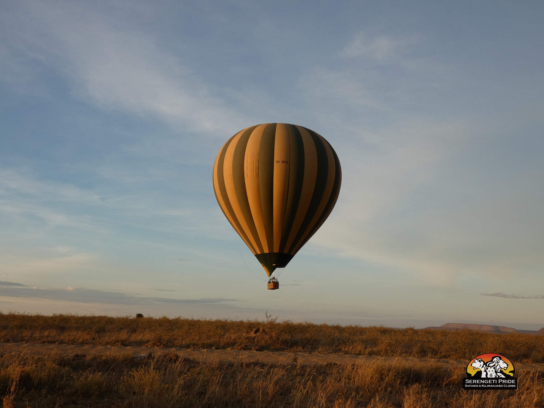 Day 4 activity image