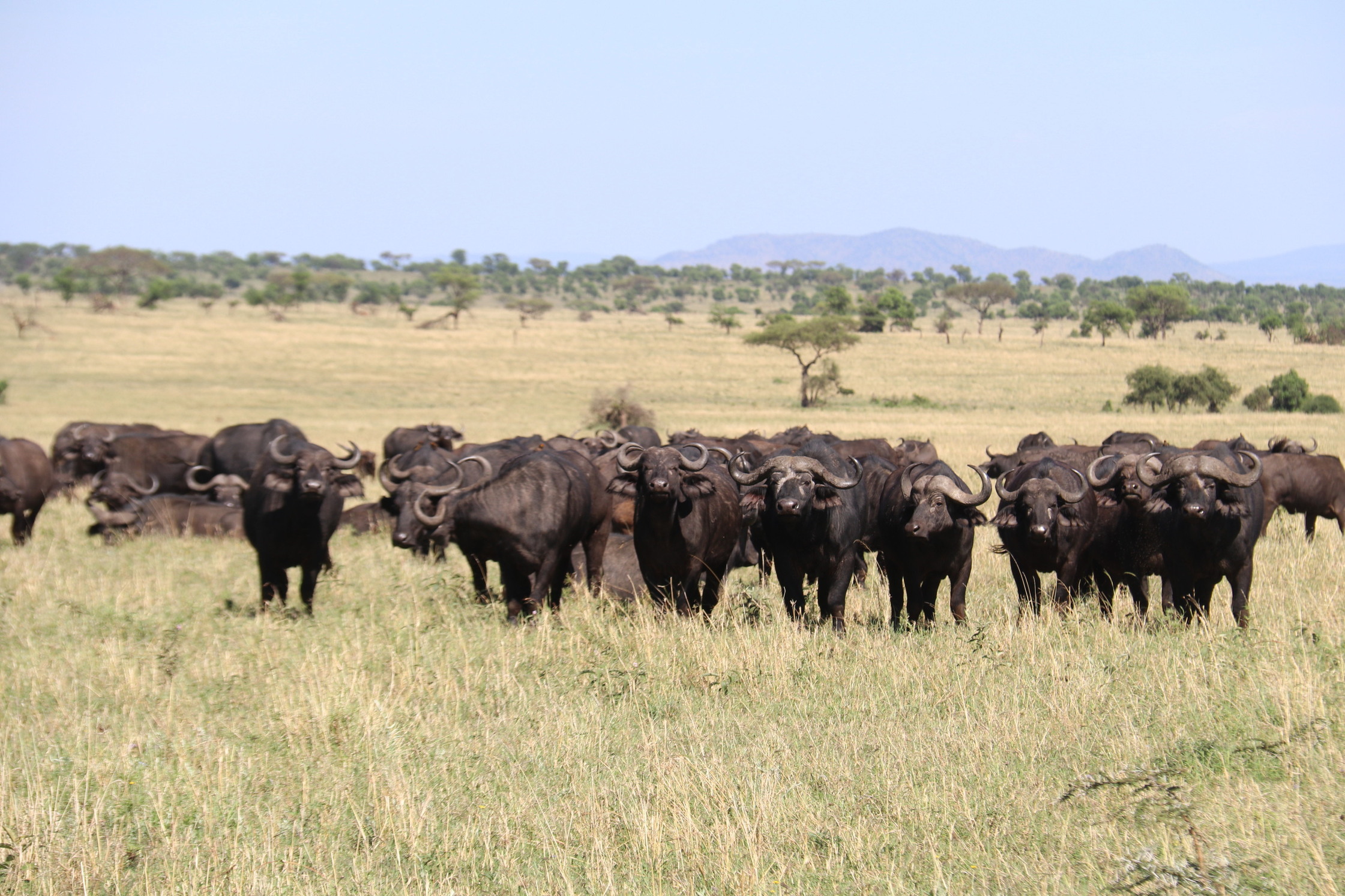 Day 4 activity image